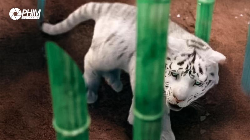 Phân Tích Kỹ xảo trong "Võ Thần Triệu Tử Long"