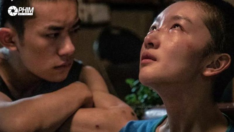 Câu chuyện tình yêu giữa hai người trẻ, mà còn là bức tranh hiện thực về áp lực thi cử