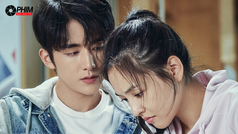 Nội dung tóm tắt của phim 